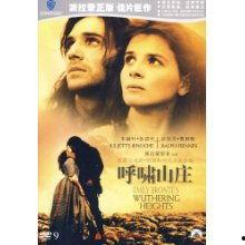 呼啸山庄在线观看,穿越时空的爱恨纠葛
